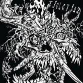 Tjolgtjar - The New Age
